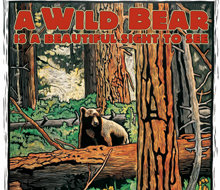 A Wild Bear poster