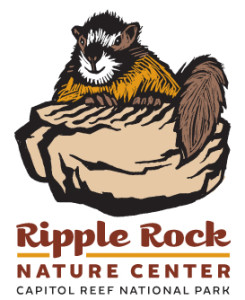 Ripple Rock square logo