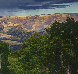 Beauty Beyond Telling: The Story of Cedar Breaks National Monument